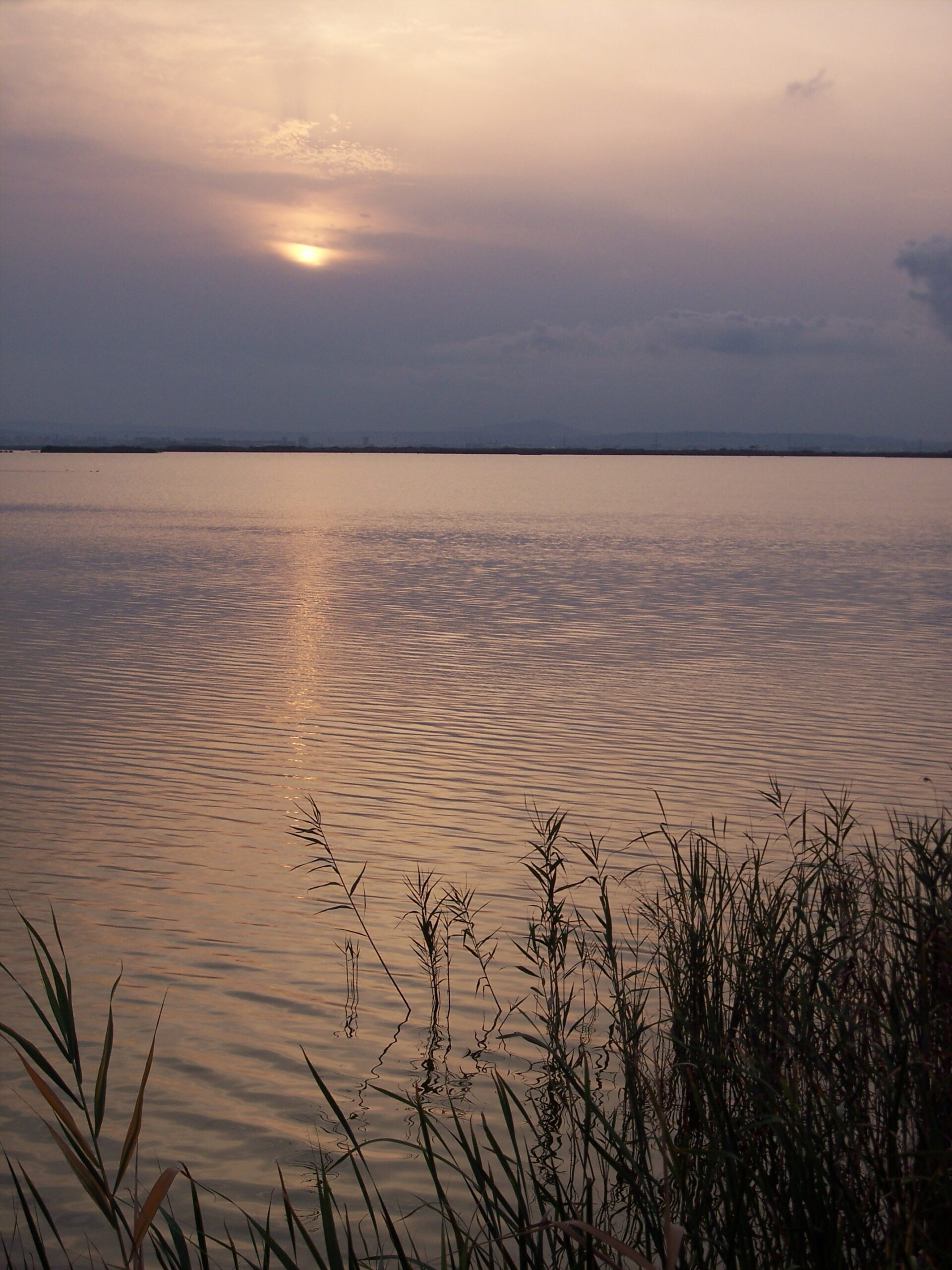 Lagoa da Albufera de Valência com paisagem natural e água tranquila