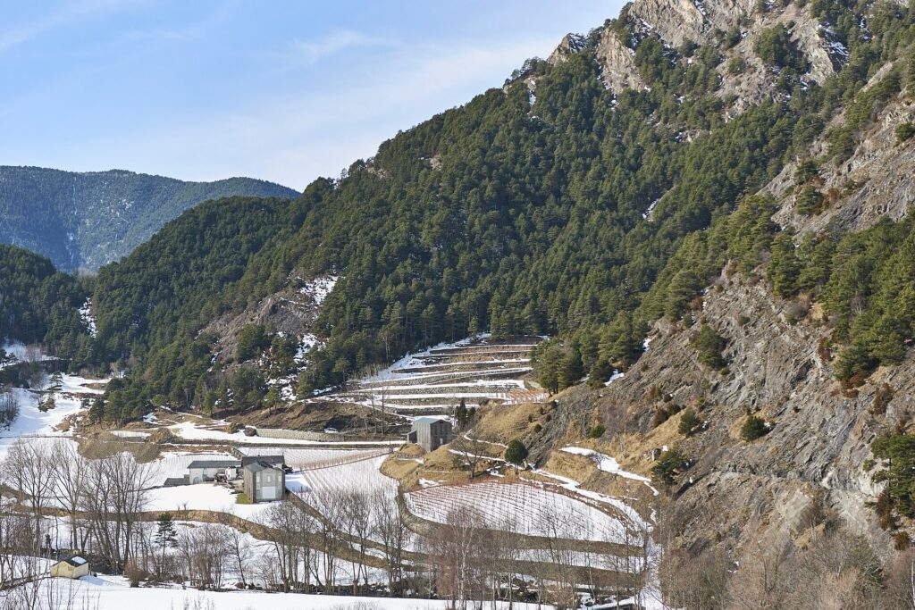 Paisagem de inverno perto de Ordino, Andorra, com montanhas, bosque e campos nevados