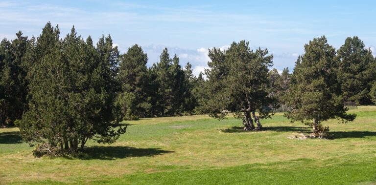 Paisagem natural de Naturland em Andorra