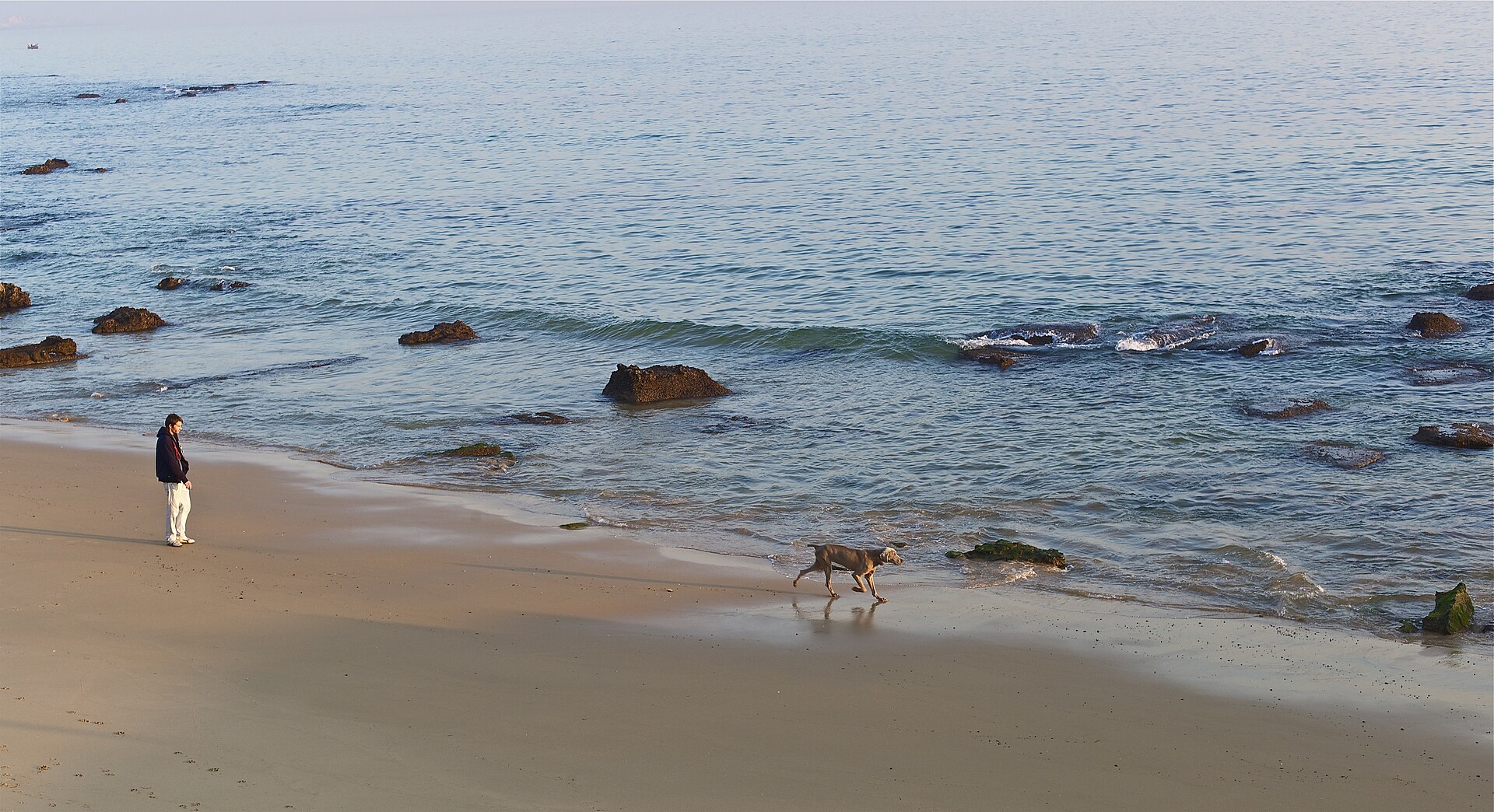 Pessoa a passear com um cão junto ao mar, imagem ilustrativa