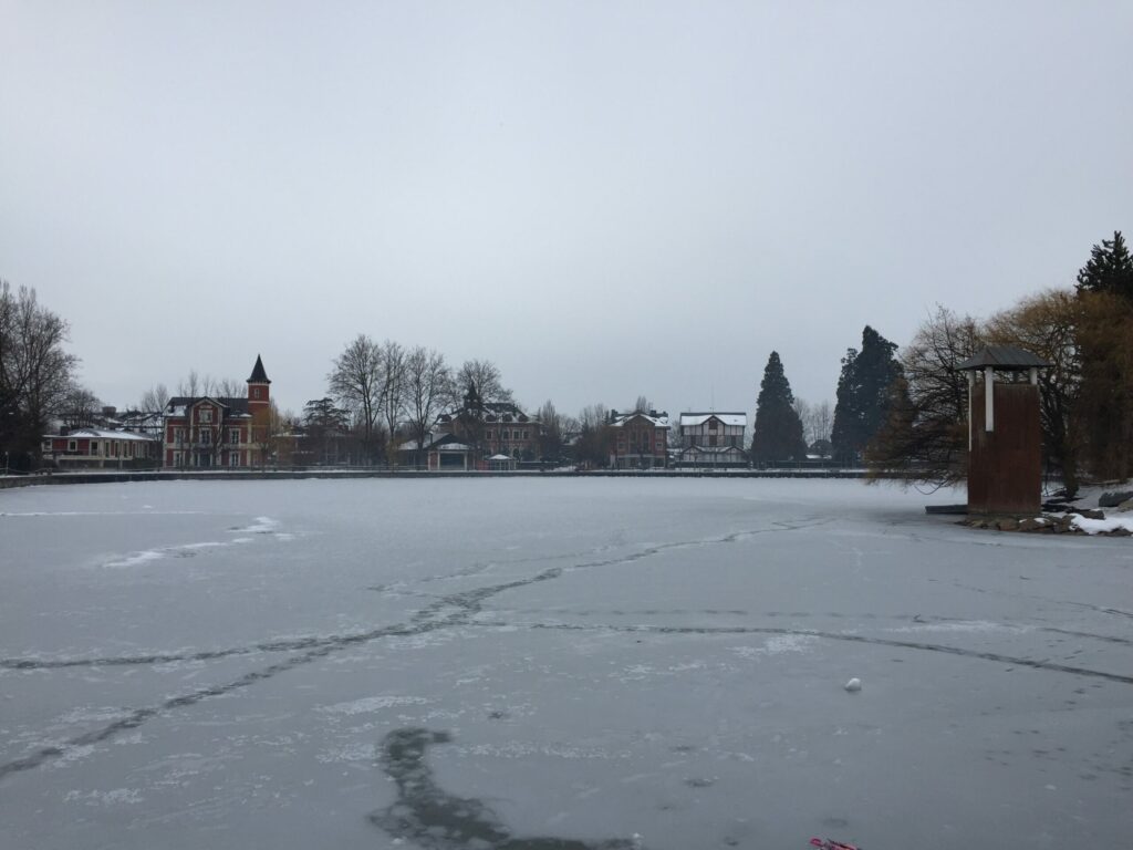 Lago de Puigcerdà parcialmente gelado num dia de inverno