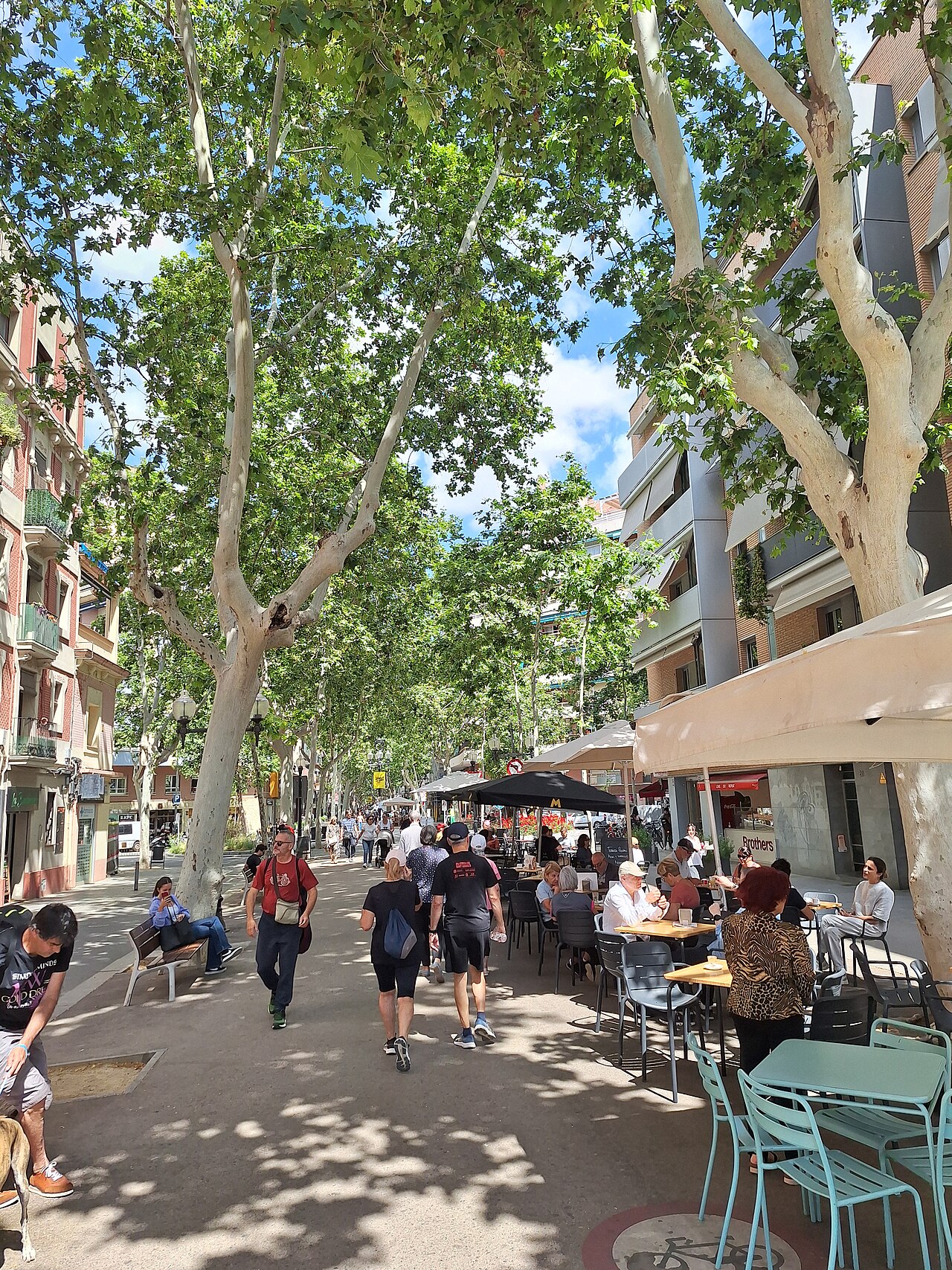 Paseo y edificios de la Rambla del Poblenou en Barcelona