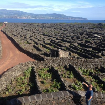 Vinhas da ilha do Pico em solo vulcânico, Açores