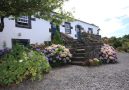 Vacation rental with a patio or garden